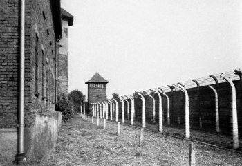 Правда об Освенциме: роль Польши. Правда об Освенциме