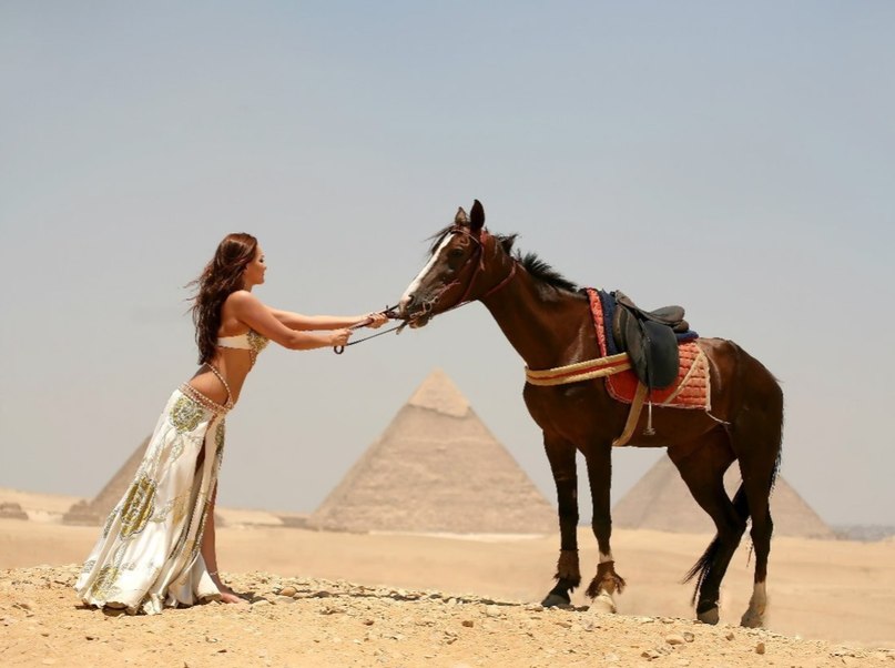 Песню под восточные. Девушка на лошади в пустыне. Восточная девушка в пустыне. Восточная девушка на лошади.